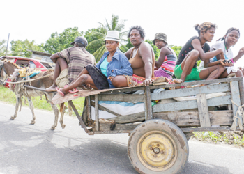 Stabroek News photo