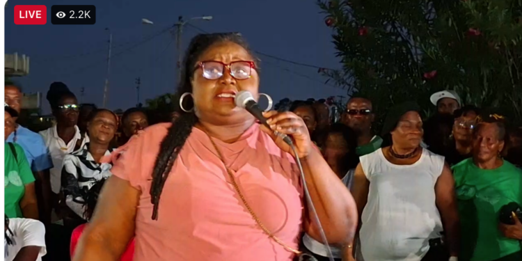 WIN General Secretary Odessa Primus MP (screengrab)