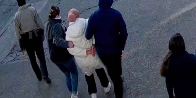 Tufts University PhD student Rumeysa Ozturk being arrested by masked U.S. immigration agents near Boston