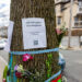 SOMERVILLE, MASSACHUSETTS - MARCH 27: Signage and flowers are placed on a tree next to where ICE agents apprehended Tuft University graduate student Rumeysa Ozturk on March 27, 2025 in Somerville, Massachusetts.  Ozturk was arrested for purported activities related to terrorist organizations amid the Trump administration's immigration crackdown.  (Photo by Scott Eisen/Getty Images)