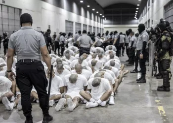 In this photo provided by El Salvador's presidential press office, a prison guard transfers deportees from the U.S. to the Terrorism Confinement Center in Tecoluca, El Salvador, on March 16. Associated Press