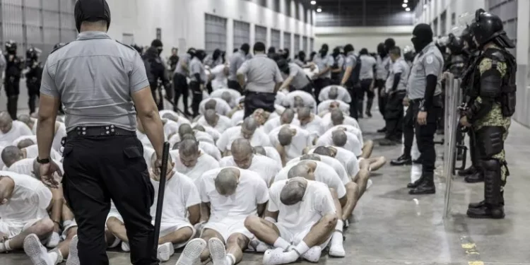 In this photo provided by El Salvador's presidential press office, a prison guard transfers deportees from the U.S. to the Terrorism Confinement Center in Tecoluca, El Salvador, on March 16. Associated Press
