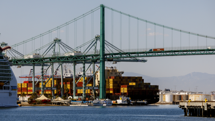 A view of the Port of Los Angeles in Los Angeles, California, U.S., May 9, 2025. /VCG