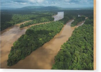 Aerial view of Cuyuni River- Facebook photo