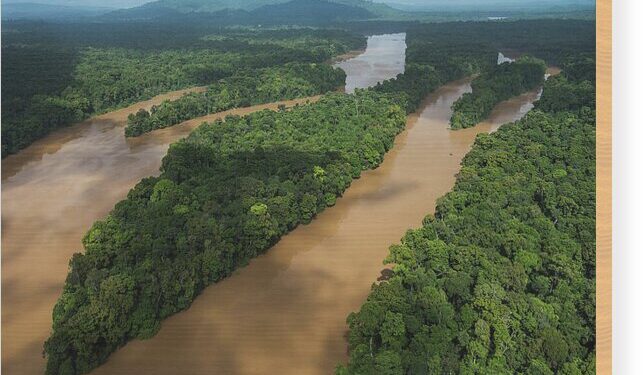 Aerial view of Cuyuni River- Facebook photo