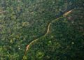 An aerial view of a road cutting through the Guyana jungle. Credit: Will Lanzoni/CNN - copyright Shutterstock
