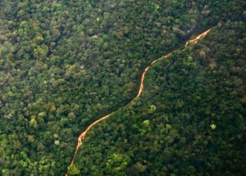 An aerial view of a road cutting through the Guyana jungle. Credit: Will Lanzoni/CNN - copyright Shutterstock