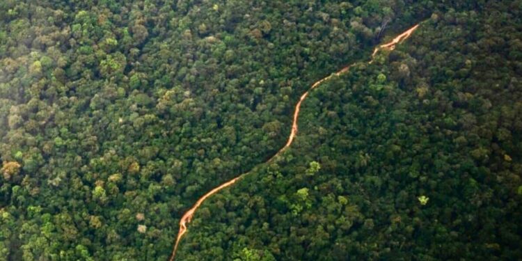 An aerial view of a road cutting through the Guyana jungle. Credit: Will Lanzoni/CNN - copyright Shutterstock