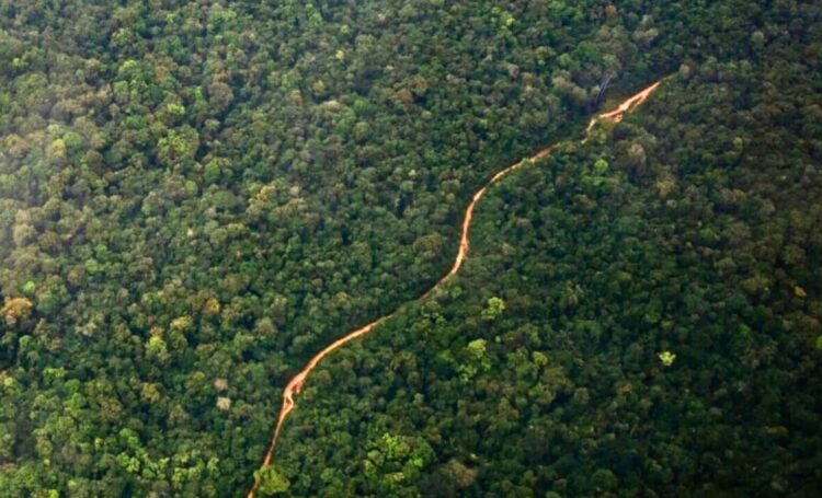 An aerial view of a road cutting through the Guyana jungle. Credit: Will Lanzoni/CNN - copyright Shutterstock