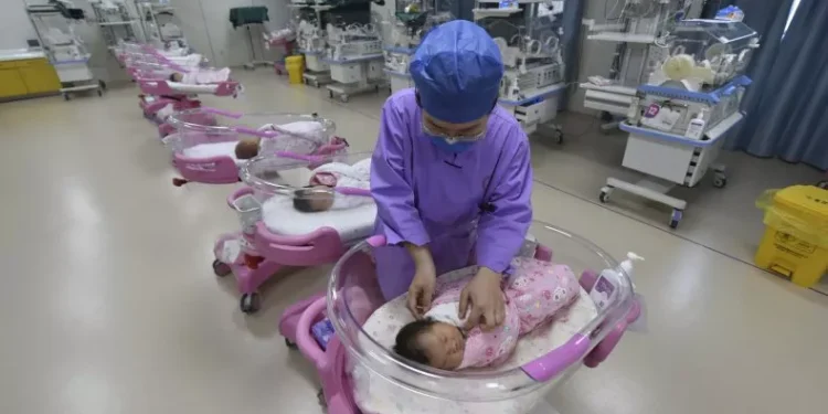 File photo of a nurse taking care of newborn babies in a maternity hospital in Fuyang in central China's Anhui province Monday, Aug. 08, 2022. AP