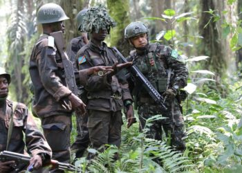 © MONUSCO/Ado Abdou Brazilian peacekeepers train the soldiers serving with the Democratic Republic of the Congo (file).