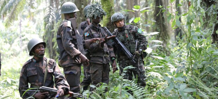 © MONUSCO/Ado Abdou Brazilian peacekeepers train the soldiers serving with the Democratic Republic of the Congo (file).