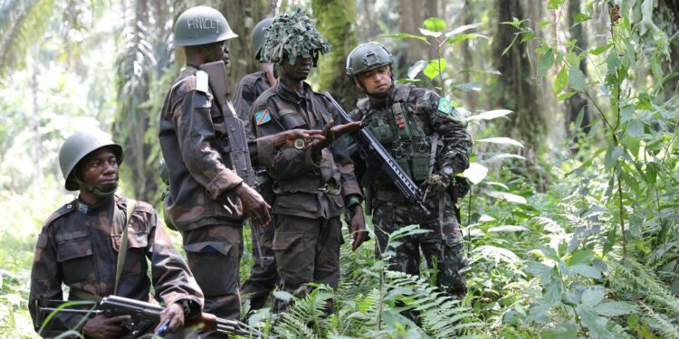© MONUSCO/Ado Abdou Brazilian peacekeepers train the soldiers serving with the Democratic Republic of the Congo (file).