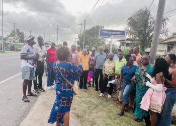 A gathering at the unveiling of the Frederick Robertson Street