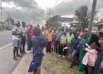 A gathering at the unveiling of the Frederick Robertson Street