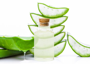 Aloe (APA photo)
