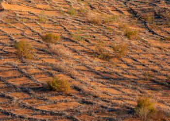Straw checkerboards in the Tengger Desert in Zhongwei City, Ningxia Hui Autonomous Region, northwest China. /VCG