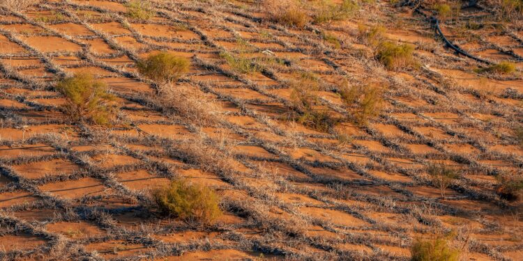 Straw checkerboards in the Tengger Desert in Zhongwei City, Ningxia Hui Autonomous Region, northwest China. /VCG