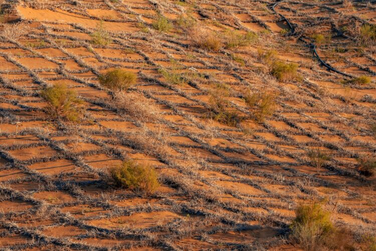 Straw checkerboards in the Tengger Desert in Zhongwei City, Ningxia Hui Autonomous Region, northwest China. /VCG