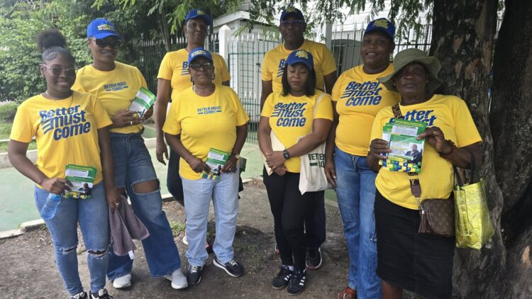 AFC supporters in the community distributing flyers