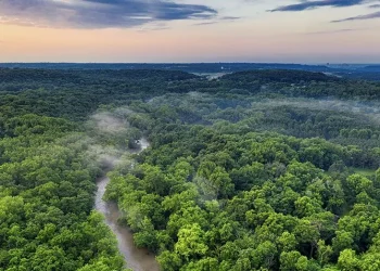 An aerial view of the Acarai–Corentyne Corridor, one of the last vast, intact forest landscapes in the Amazon region. Photo © Field Museum.