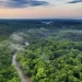 An aerial view of the Acarai–Corentyne Corridor, one of the last vast, intact forest landscapes in the Amazon region. Photo © Field Museum.