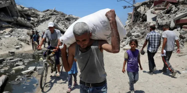Tom Fletcher, UN humanitarian chief, said most of the UN's food lorries were looted by desperately hungry Palestinians after entering Gaza on Sunday