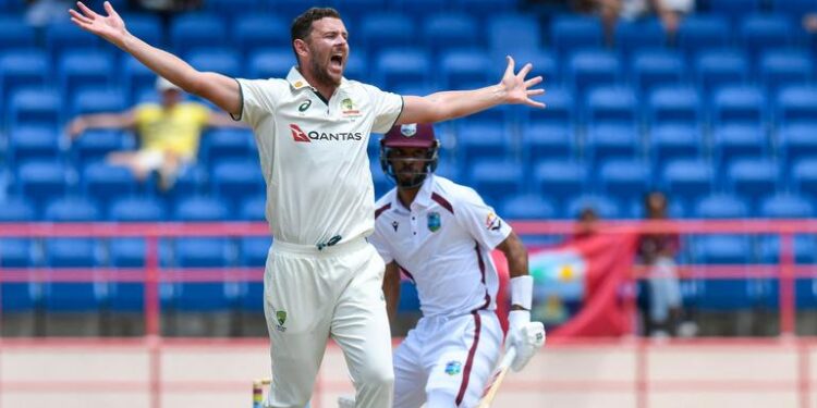 Josh Hazlewood of Australia. Photo by Randy Brooks / AFP
Source: AFP