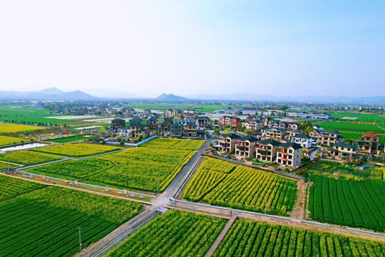 An aerial drone photo taken on March 22, 2024 shows a view of Yong'an Village in Yuhang District, Hangzhou City, east China's Zhejiang Province.(Photo by Hong Yunfeng/Xinhua)