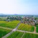 An aerial drone photo taken on March 22, 2024 shows a view of Yong'an Village in Yuhang District, Hangzhou City, east China's Zhejiang Province.(Photo by Hong Yunfeng/Xinhua)