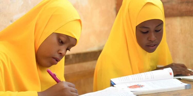 Grade 7 students in Mogadishu, Somalia. AMISOM Photo by Ilyas Ahmed/flickr