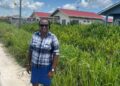 Former APNU+AFC Minister Annette Ferguson standing infront of Great Diamond ECD housing area, showing unoccupied houses and land overgrown with bushes