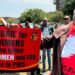 AFRICA | Human Pig Feed: The South African Farm Murders That Shocked the World"