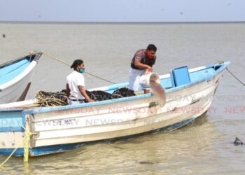 Carli Bay fisherman discard spoilt catch. - File photo