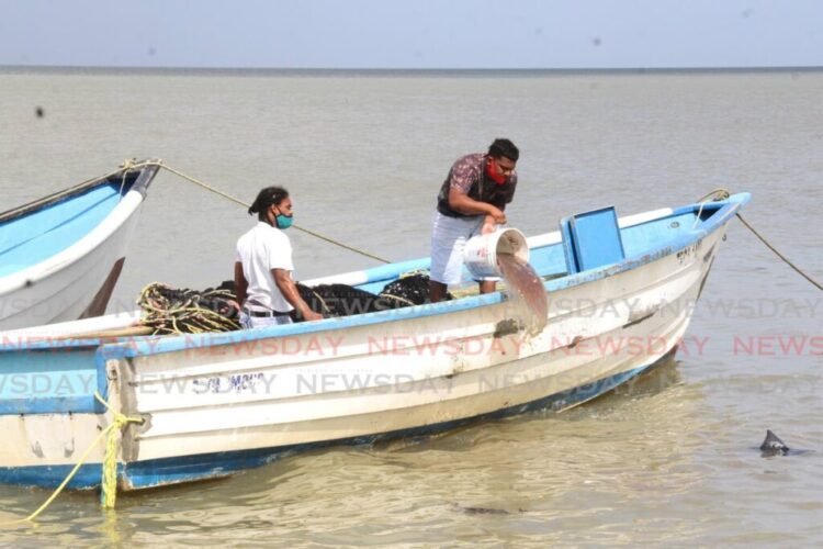 Carli Bay fisherman discard spoilt catch. - File photo