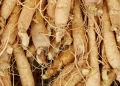 Ginseng