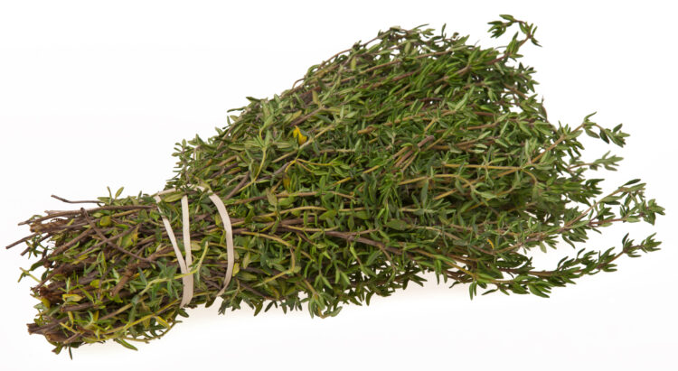 Thyme (Wikipedia photo)