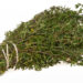 Thyme (Wikipedia photo)