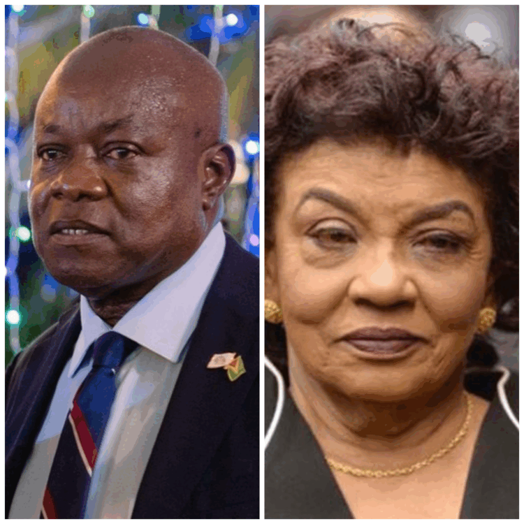 (L-R) Leader of the Opposition Aubrey Norton and Chairperson ret'd Justice Claudette Singh