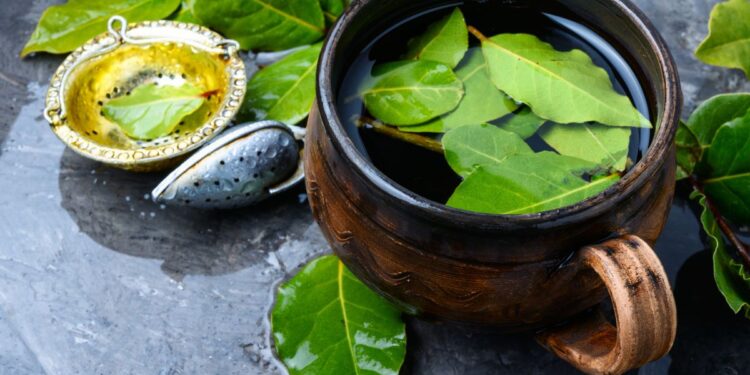 Bay Leaves
