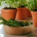 Lithiumphoto/Shutterstock