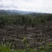 Cut down trees lie within view of the Cordillera Azul National Park, seen in the background near Chambira community, in Peru’s Amazon, Oct. 3, 2022. (AP Photo/Martin Mejia, File)