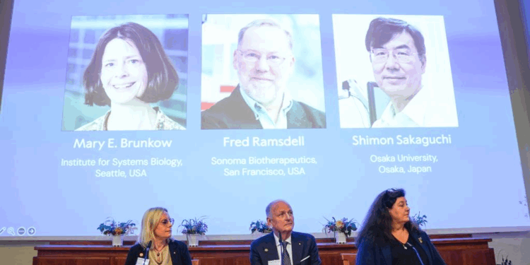 Portraits of the 2025 Nobel Prize in Physiology or Medicine laureates Mary E. Brunkow (L), Fred Ramsdell (C) and Shimon Sakaguchi are shown on a screen during the announcement of the prize at the Karolinska Institute in Stockholm, Sweden, on Oct. 6, 2025. Mary E. Brunkow, Fred Ramsdell, and Shimon Sakaguchi were awarded the 2025 Nobel Prize in Physiology or Medicine on Monday for their discoveries concerning peripheral immune tolerance, the Nobel Assembly at Sweden's Karolinska Institute announced. (Xinhua/Peng Ziyang)