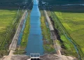 Hope canal, an irrigation canal in East Demerara Water Conservancy (for sugar cane and rice production) coastal area of Guyana, South America