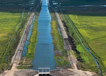 Hope canal, an irrigation canal in East Demerara Water Conservancy (for sugar cane and rice production) coastal area of Guyana, South America