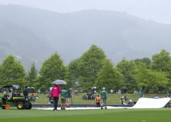 Rain in Nelson kept New Zealand 2-1 up in the series • Getty Images