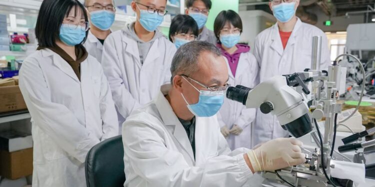 Luo Minmin (front) conducting an experiment. /Courtesy of Chinese Institute for Brain Research, Beijing