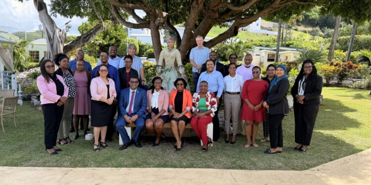 Participants and facilitators attending the Workshop