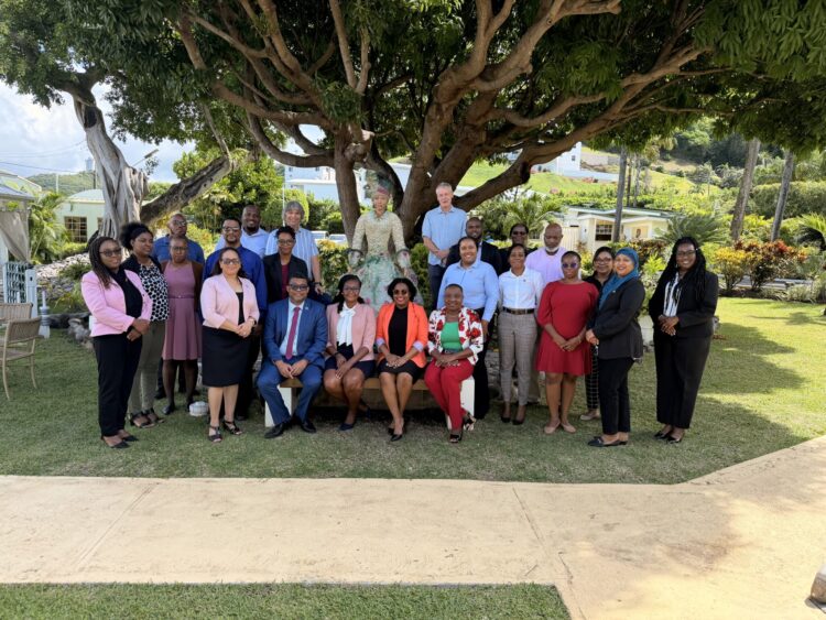 Participants and facilitators attending the Workshop