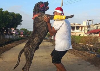 Rover (dog) with owner (Photo WIN Facebook)